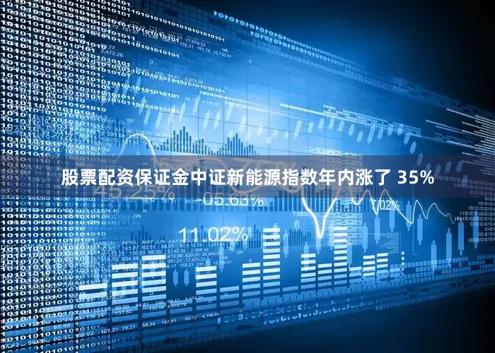 股票配资保证金中证新能源指数年内涨了 35%