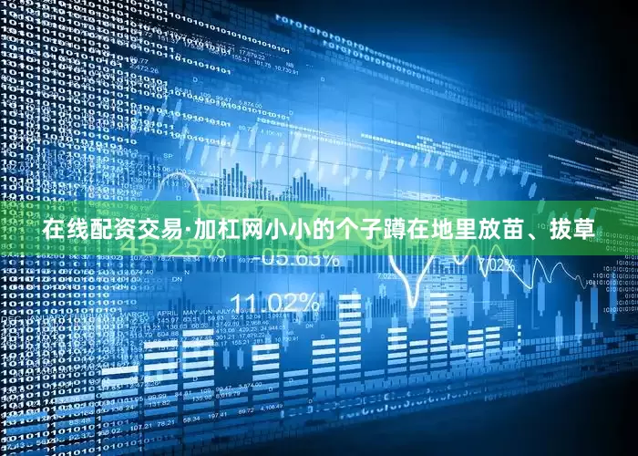 在线配资交易·加杠网小小的个子蹲在地里放苗、拔草